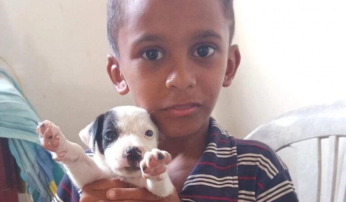 Enzo e Kyara