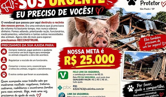 🐾 SOS Marcelinho Protetor
