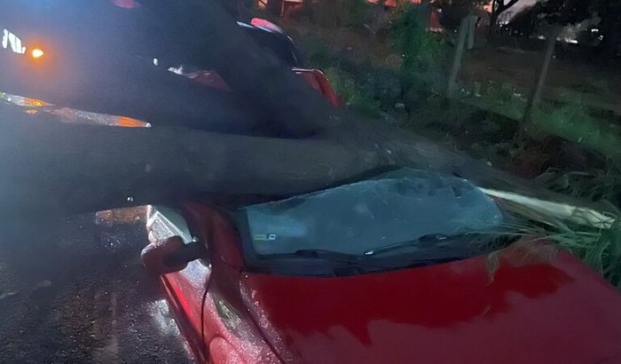 Vamos ajudar a Prô Bia ❤️