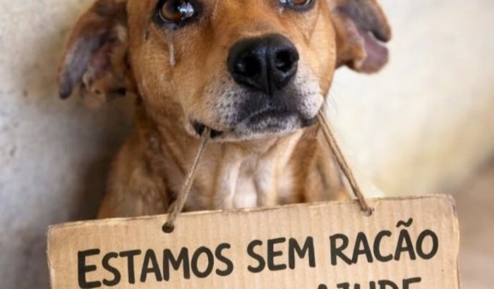 Corrente do bem animal
