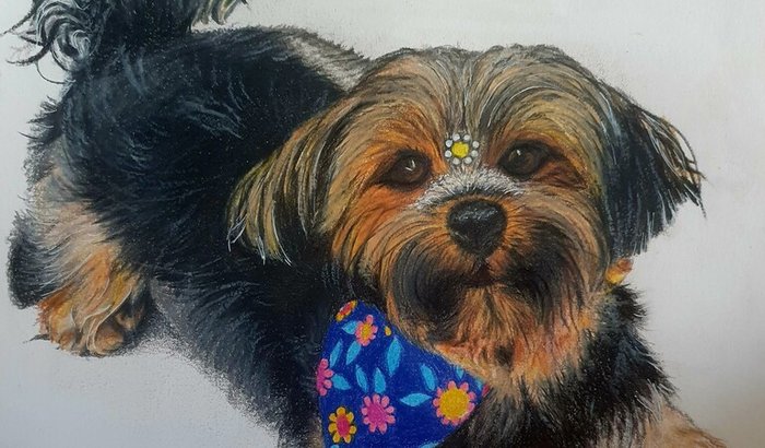 Ajuda para comprar materiais para meus desenhos!