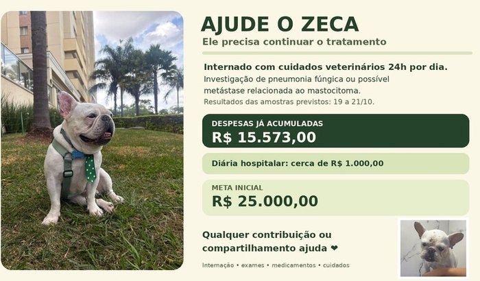 Ajude o Zeca