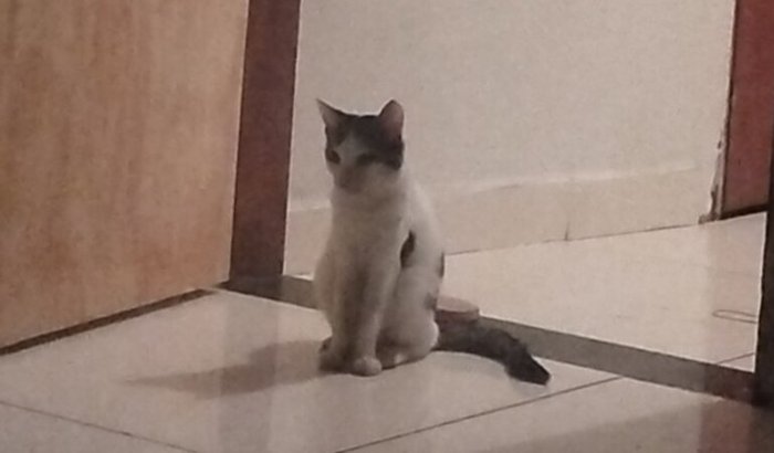 Pela Brisa