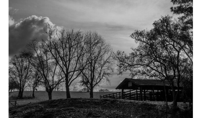 HEIMAT — UMA EXPOSIÇÃO FOTOGRÁFICA