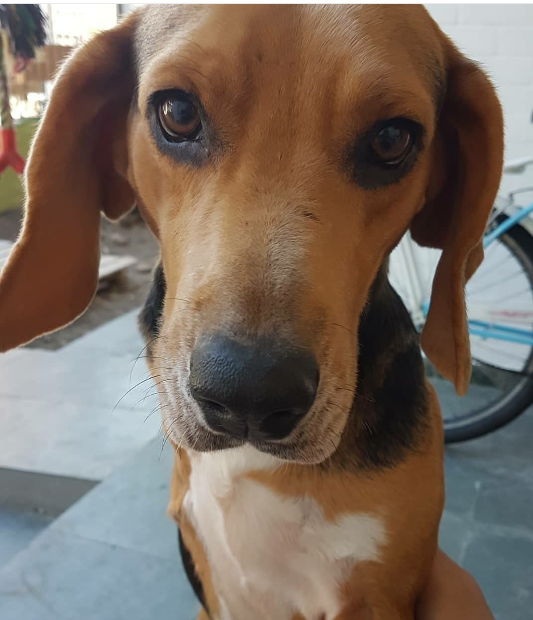 Hotelzinho Ralf - Agosto