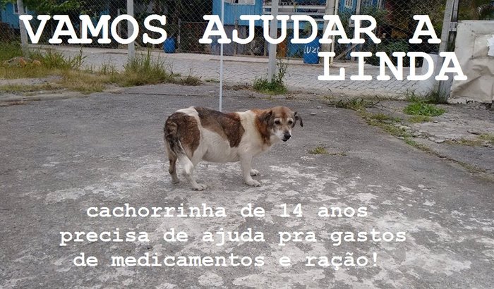 Vamos ajudar a Linda! 
