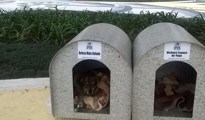 Casinhas para Cães de Rua
