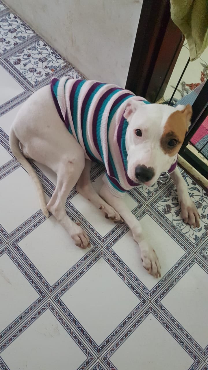 Hotelzinho Valentine - Outubro