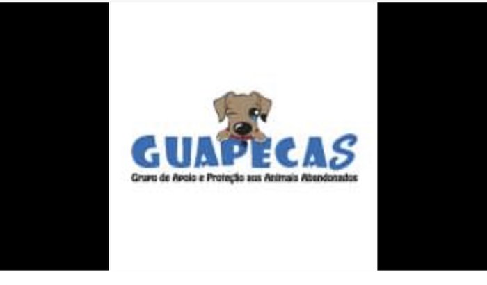 Ong Guapecas Joinville