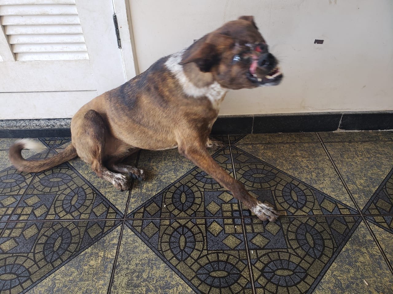 Hotelzinho Mariele - Novembro