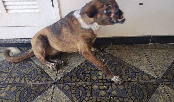 Hotelzinho Mariele - Novembro