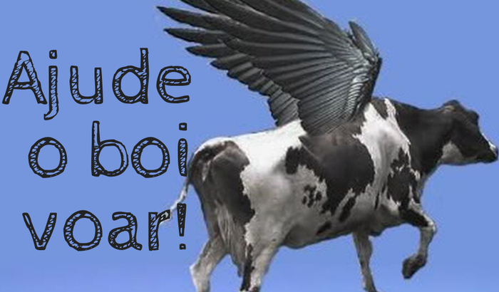 Ajude o boi voar!