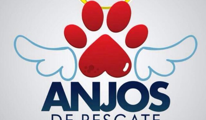 Ajude a Anjos de Resgate a continuar ajudando!