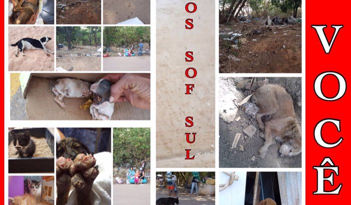 Animais Sof Sul 
