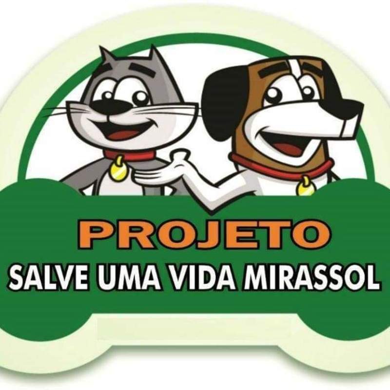 imagem da vaquinha Criação do cnpj do salve uma vida Mirassol