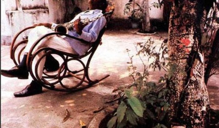 A Arvore da Casa de Pixinguinha