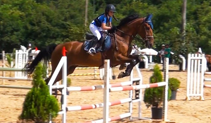 Um cavalo para a Mari