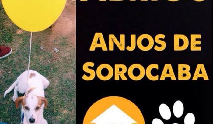 Abrigo Anjos de Sorocaba