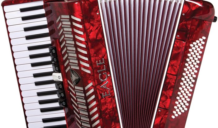 Aquisição de um Acordeão para o Lar de Idosos Trindade