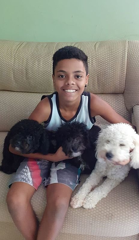 imagem da vaquinha Castração dos Cães do Mateus