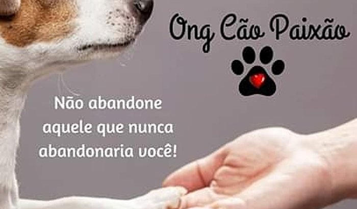Ajuda para ONG CÃO PAIXÃO