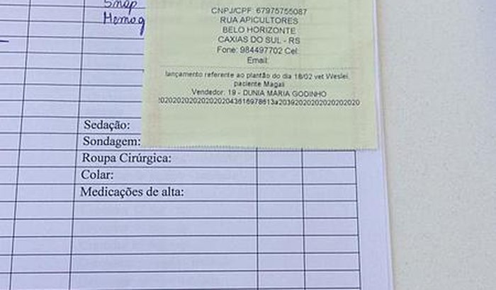 Ajuda Para Gatinha Magali