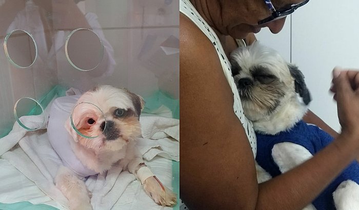 Billy e Kenay Precisam Da Ajuda de Vocês ...Leiam Por Favor...