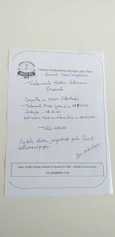 AJUDE A CADELINHA ENCONTRADA NA RUA COM MIÍASE 