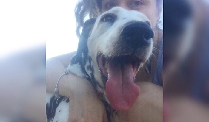 Ajudem  a Beca 🐶