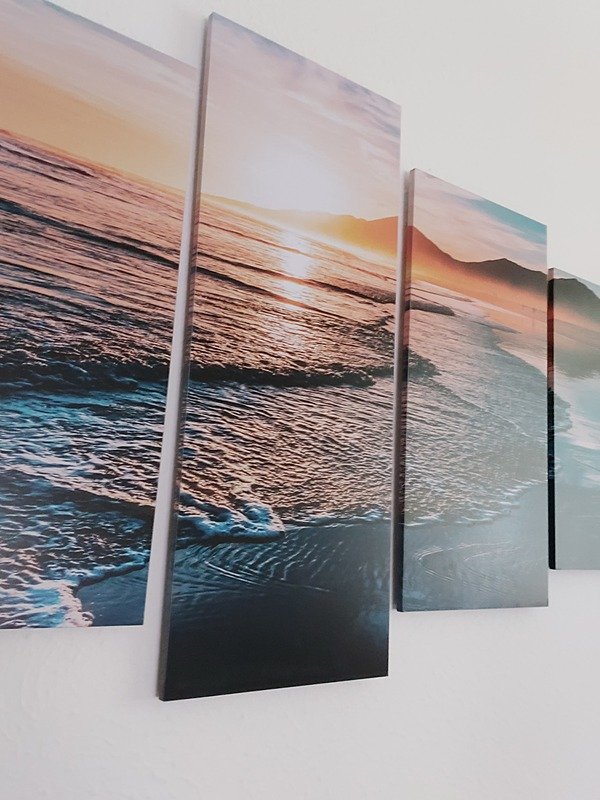 imagem da vaquinha Ajude os Animais Resgatados