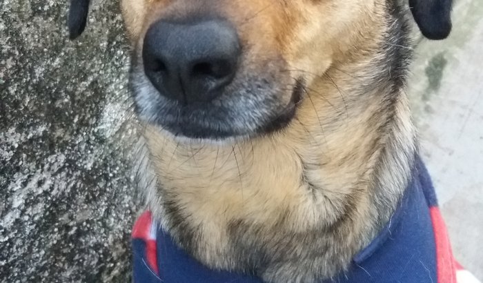 Ajude a Jade !!