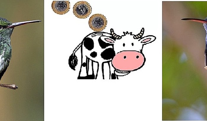 Vaquinha-foguete para ir ao XXVII CBO