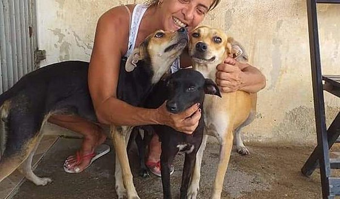 Auxílio animais protetora Vina Sallum