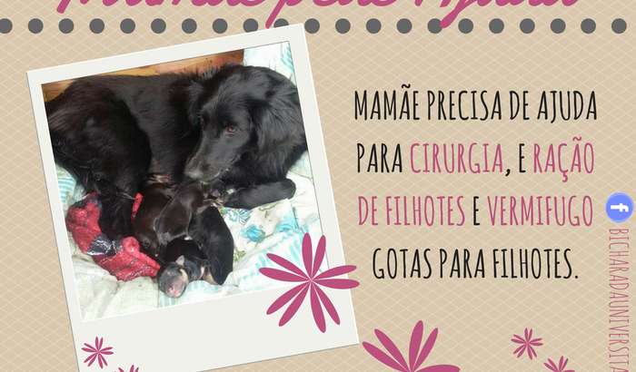 Ajuda para mamãe