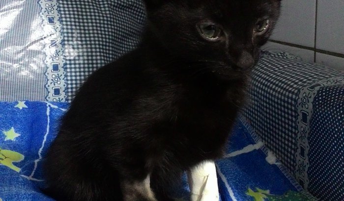 Pequeno Salem