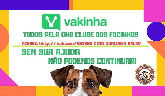 Todos pela ONG Clube dos Focinhos 