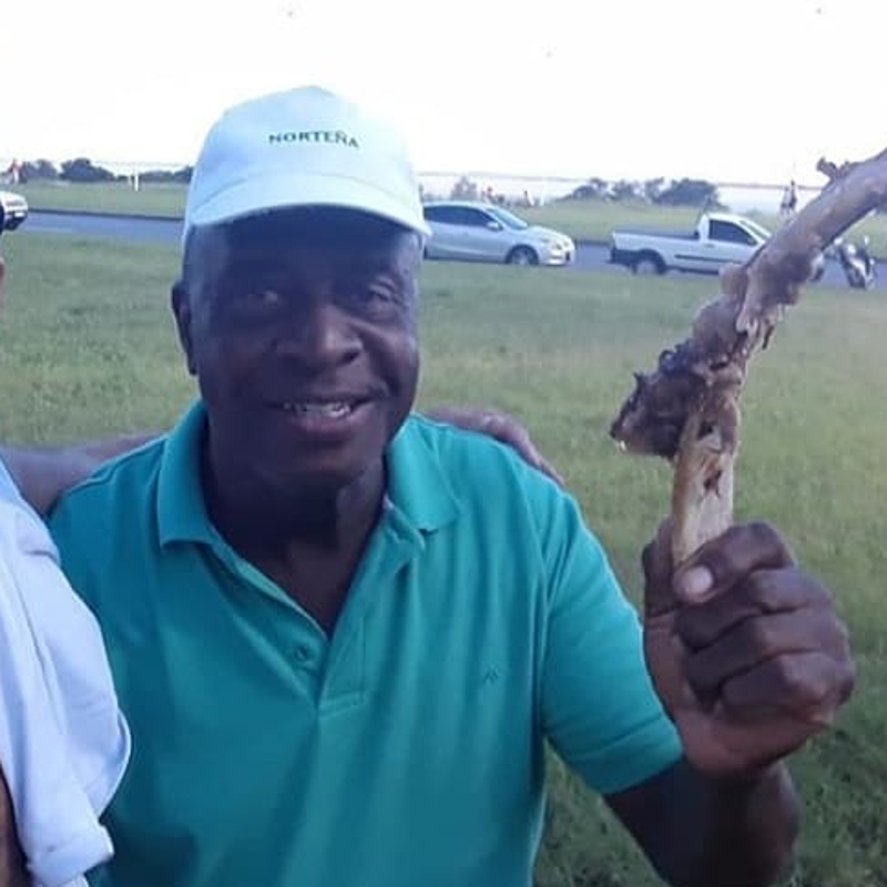 Ajudem a Quarentena do Tio Arno  - Família Marinha SK8