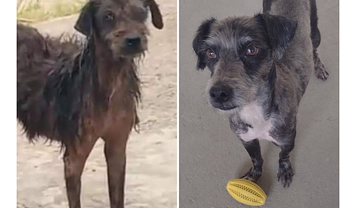 CAIXA EMERGENCIAL 2021 POR CONTA DO CORONAVÍRUS