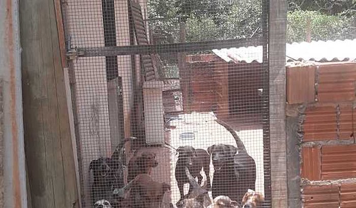 AJUDEM PARA QUE NAO TENHAMOS QUE FECHAR