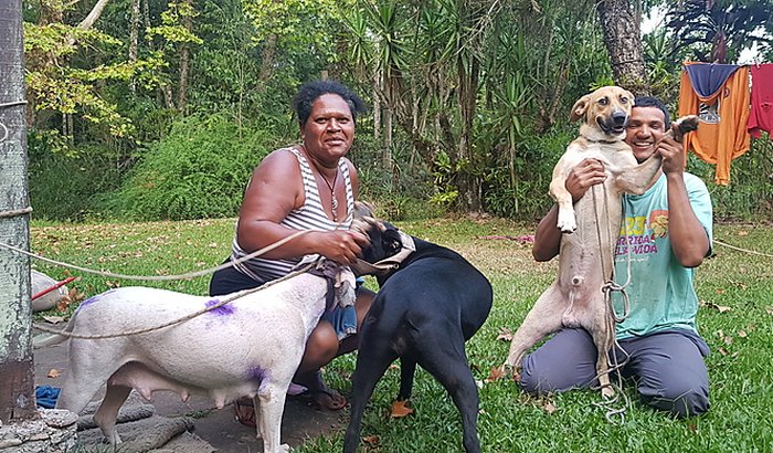 Vida nova para Marcelo, Jeane e seus cães