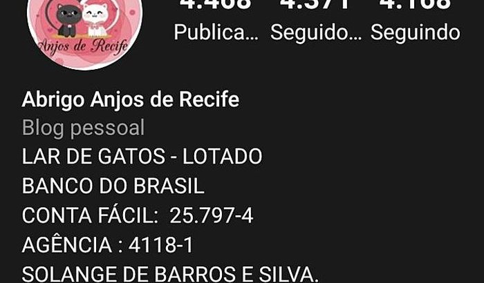Aluguel do Abrigo Anjos de Recife 