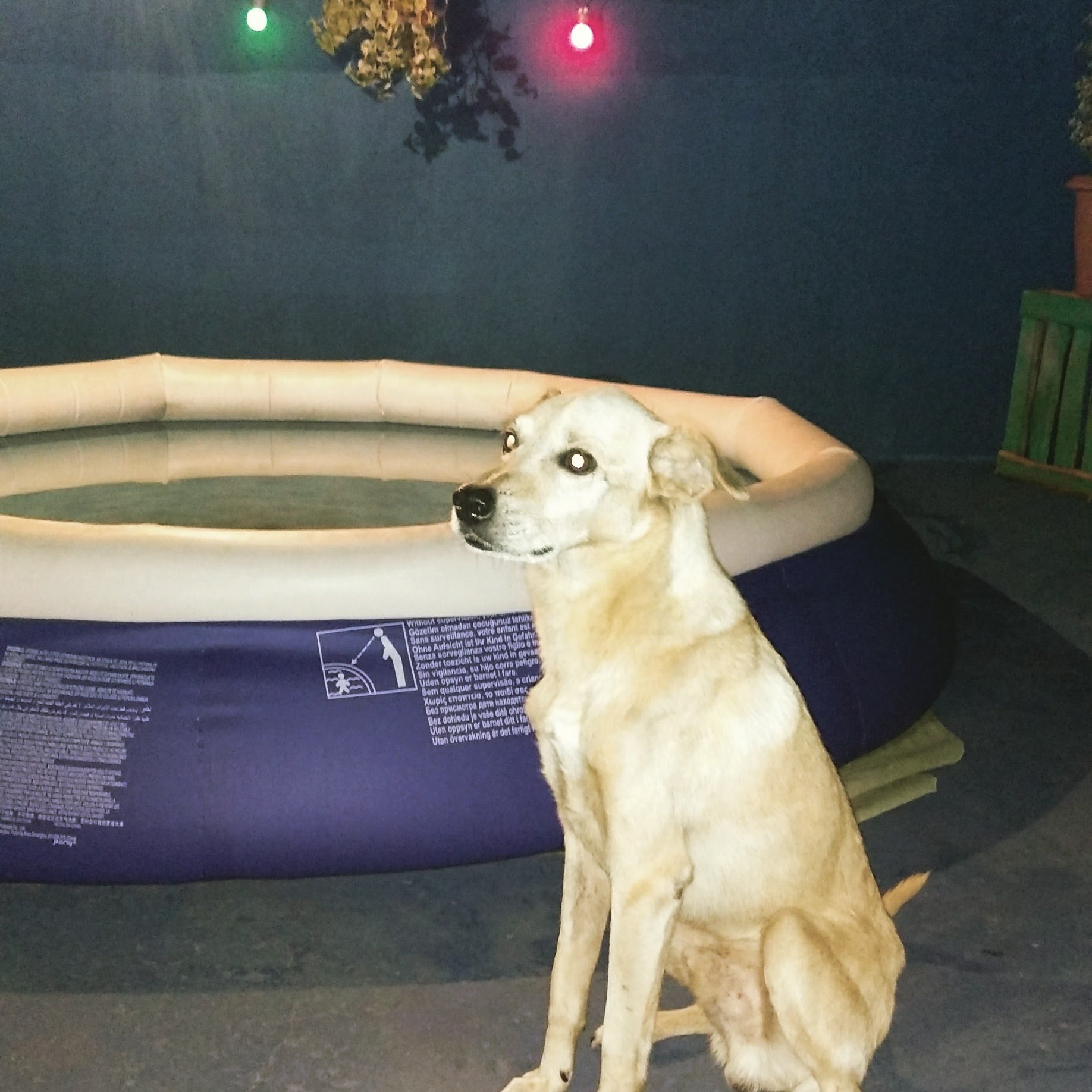 Descanse em paz, querido Sebastião